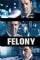 Felony (2013)