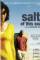 Salt of This Sea (2008)