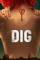 Dig (2015)