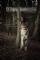 Serial Thriller: Angel of Decay (2015)