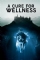 A Cure for Wellness (2016)