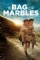 A Bag of Marbles (2017)