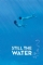 Still the Water (2014)