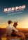 Red Dog: True Blue (2016)