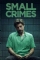 Small Crimes (2017)