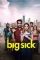 The Big Sick (2017)