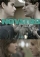 Hazing (2015)