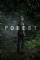 The Forest (2017)