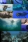 Sea Monsters: A Walking with Dinosaurs Trilogy (2003)