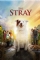 The Stray (2017)