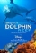 Dolphin Reef (2018)