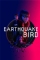 Earthquake Bird (2019)