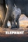 Elephant (2020)