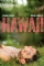 Hawaii (2013)