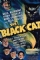 The Black Cat (1941)