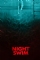 Night Swim (2024)